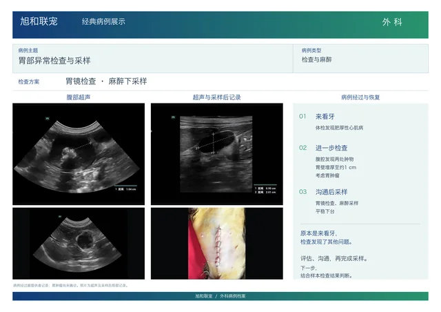 胃部异常检查与采样病例展示图